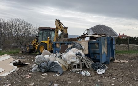 Събират безплатно зеления отпадък в Кранево