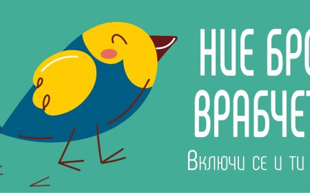 За десета поредна година броим врабчетата в България