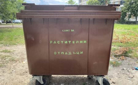 Община Генерал Тошево призовава гражданите да използват контейнерите по предназначение