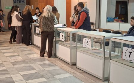 При почти 40% избирателна активност приключи изборния ден в област Добрич