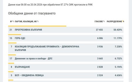 „Прогресивна България“ води в област Добрич при 87,27% обработени протоколи