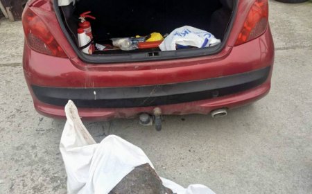 В района на Балчик хванаха нарушител да превозва калкан с автомобил без документи