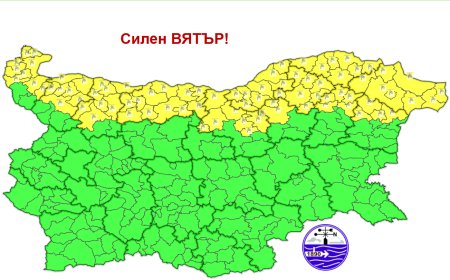 Жълт код за силен вятър в област Добрич