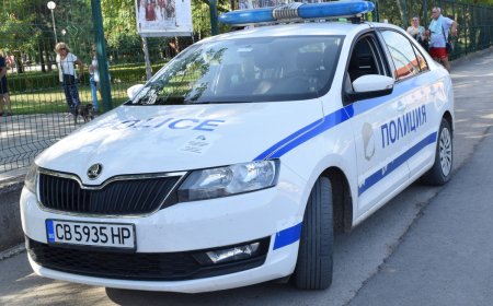 Аварирал ТИР затруднява движението по пътя Добрич - Силистра