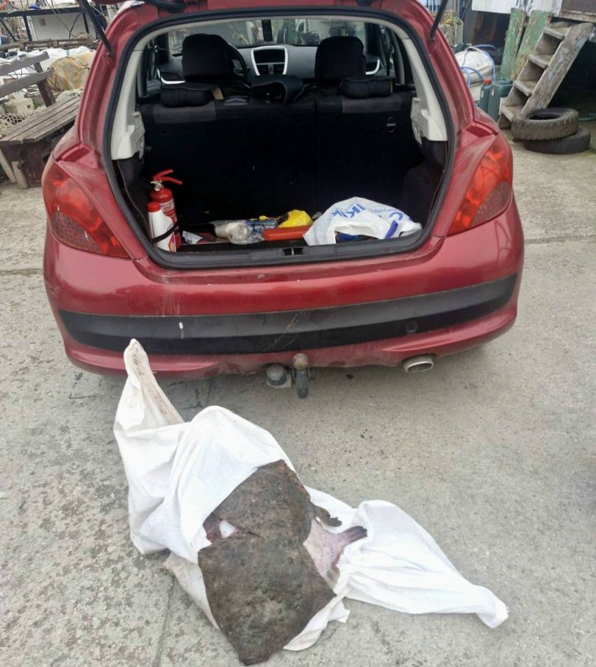 В района на Балчик хванаха нарушител да превозва калкан с автомобил без документи