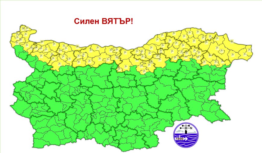 Жълт код за силен вятър в област Добрич