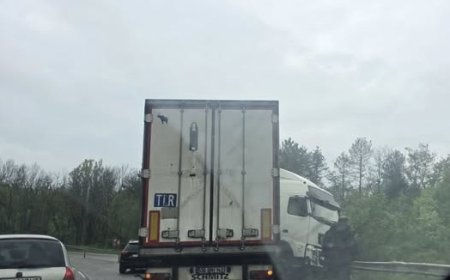 Катастрофирал ТИР затруднява движението по пътя Добрич - Варна