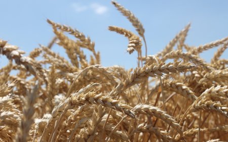 Започват информационните срещи по прилагане на новата Стратегия на МИГ ТЕРВЕЛ – КРУШАРИ