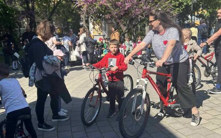 Близо 1000 души се включиха в инициативите по повод Деня на предизвикателството в  Добрич