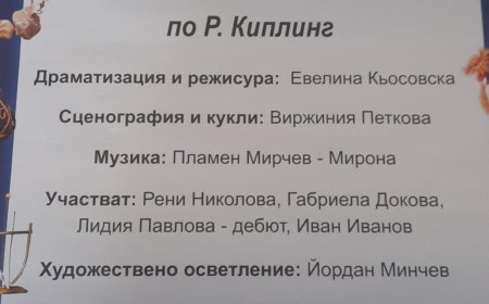 ГЕРБ-СДС подарява безплатен куклен театър на децата от Добрич