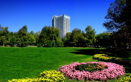 Водещи ендокринолози на форум в Албена