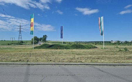 Общинското предприятие коси тревата по кръговите кръстовища на Добрич