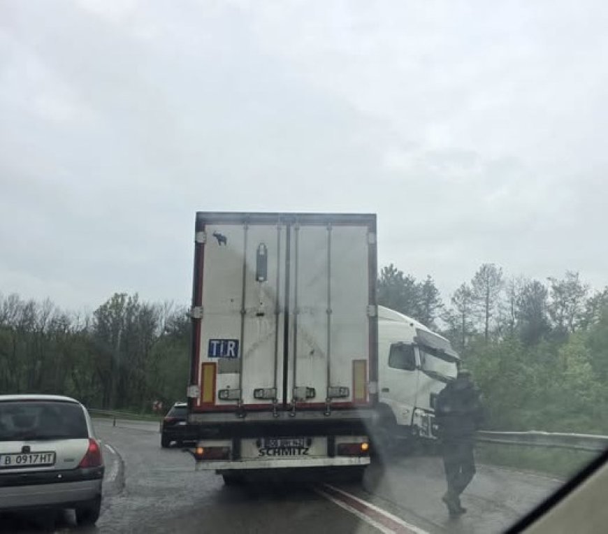 Катастрофирал ТИР затруднява движението по пътя Добрич - Варна