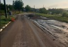 Продължава почистването на третокласния път с. Божан до разклона на с. Поп Груево
