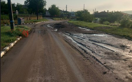 Продължава почистването на третокласния път с. Божан до разклона на с. Поп Груево