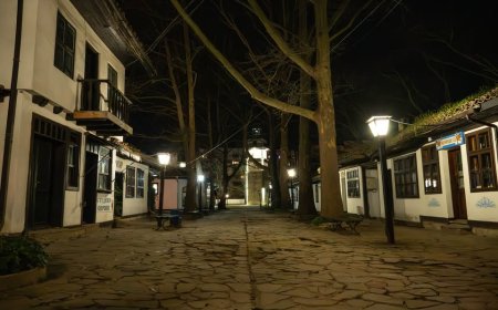 Стартира доброволческа инициатива за почистване и обновяване на ЕК „Стария Добрич"