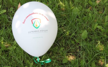 29 юни - Национален ден на безопасността на движението по пътищата