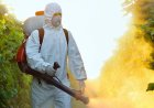 Започват обработките срещу кърлежи на детските площадки на територията на град Добрич и на Градски парк „Св. Георги“