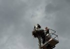 Спасиха три малки бели щъркела след буря в добричкото село Полковник Свещарово