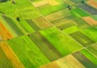 Започват кръстосаните проверки за Кампания 2026