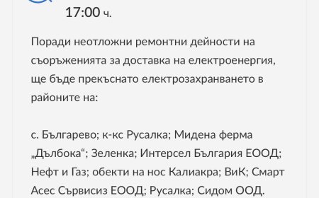 Как монополисти унищожават бизнеса по Северното Черноморие?