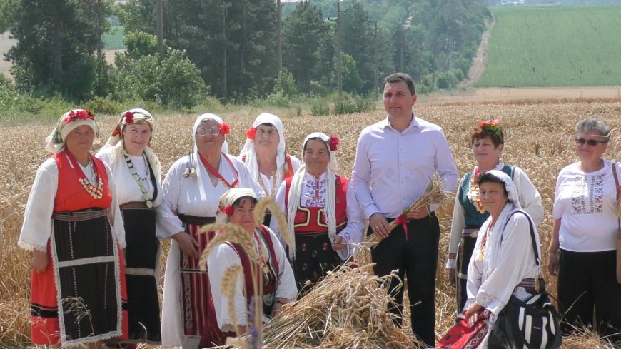 С ритуал и благословия беше даден старт на жътвената кампания на пшеницата край Генерал Тошево