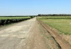 Започна цялостната рехабилитация на пътя до село Писарово