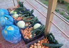 Общинската градина в Долина дари прясна продукция на семейства в нужда