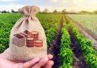 Стопаните ще бъдат подпомогнати с 42,6 млн. евро с извънреден de minimis за 2026 г.