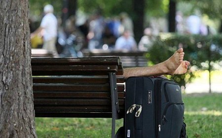 Днес е Световният ден на мързела – позволено е да не правим нищо