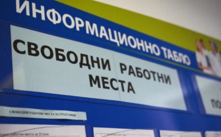 Свободните работни места в областта на 12 август
