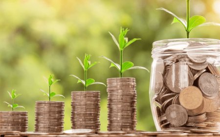 ДФЗ изплати още 2,8 млн евро допълнително преразпределително подпомагане за Кампания 2025