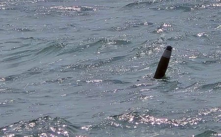 Сигнал за предмет, приличащ на боен снаряд в морето край Тюленово, вдигна на крак властта