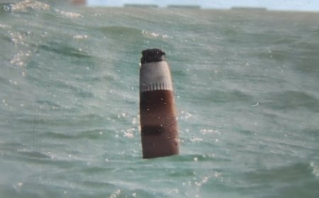 ВМС: Забелязаният обект в морето край Тюленово е стартов двигател