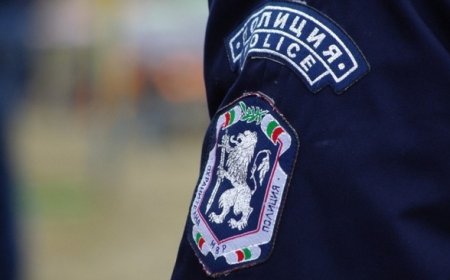 Трима къмпингуващи край Камен бряг са задържани с канабис и сушени гъби