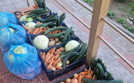Общинската градина в Долина дари прясна продукция на семейства в нужда