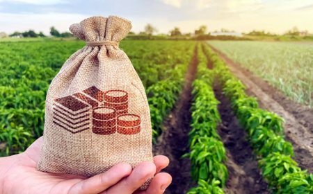 Стопаните ще бъдат подпомогнати с 42,6 млн. евро с извънреден de minimis за 2026 г.
