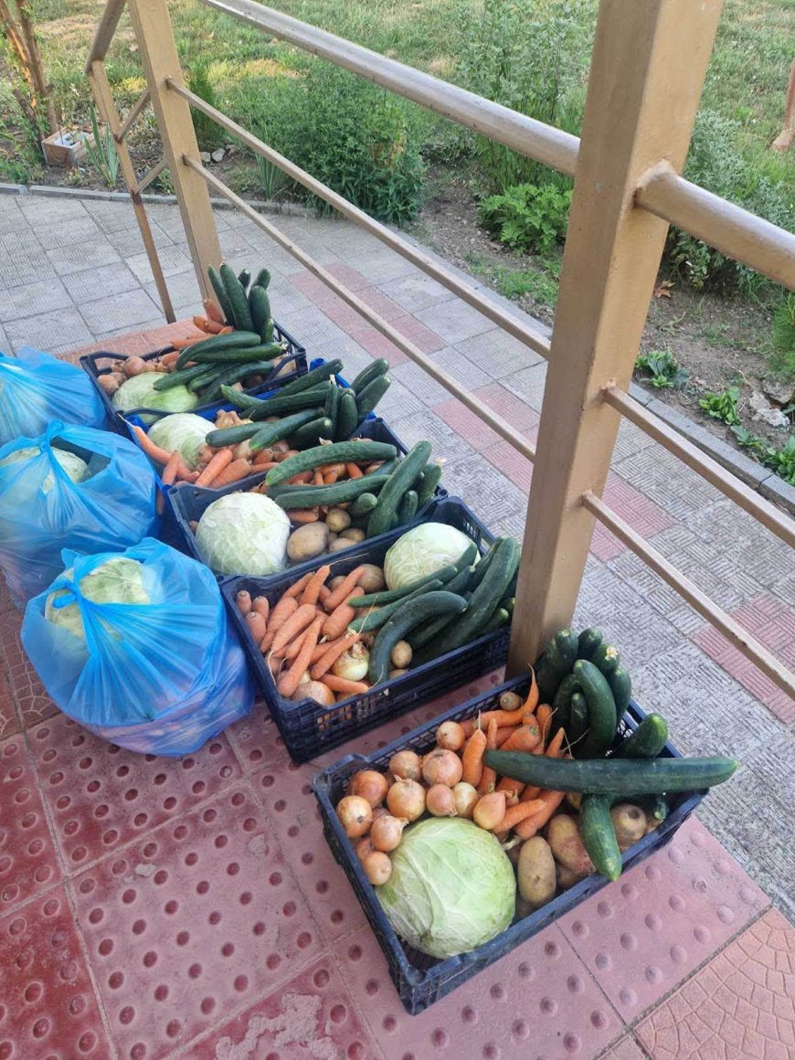 Общинската градина в Долина дари прясна продукция на семейства в нужда