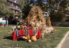 „Бабините тайни в буркани“ събраха любители на домашната зимнина в „Стария Добрич“