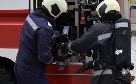 Три пожара в горски територии в Добричко са станали от началото на годината