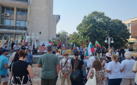 Но протест в Добрич поискаха държавата да регламентира местата, на които могат да се изграждат ВЕИ съоръжения