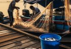 ДФЗ изплати над 2,6 млн. евро по проекти за рибарство и аквакултури