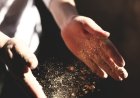 Свободните работни места в областта на 16 октомври