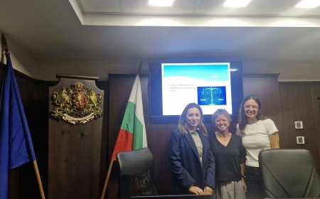 Съдебен служител от Порто посеги административния съд в Добрич