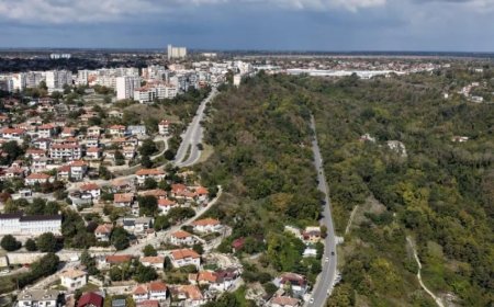 Изоставена горска площ в Балчик ще бъде превърната в екологичен парк „Горски кът“