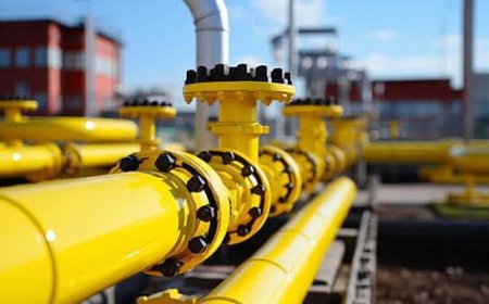 Обществените обсъждания за добива  на газ в община Генерал Тошево започват на 11 ноември