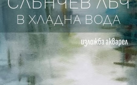 Милена Алджабари представя изложбата „Слънчев лъч в хладна вода“ в Добрич