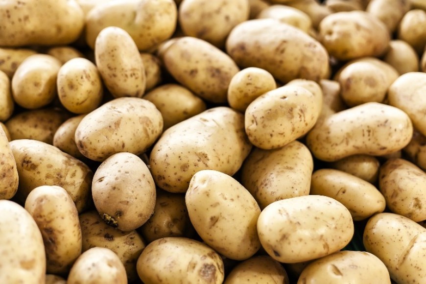 Цял месец приемат документи за доказване на произведените картофи, лук и чесън