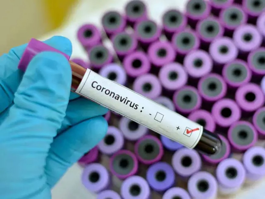 73 са новите случаи на коронавирус в област Добрич