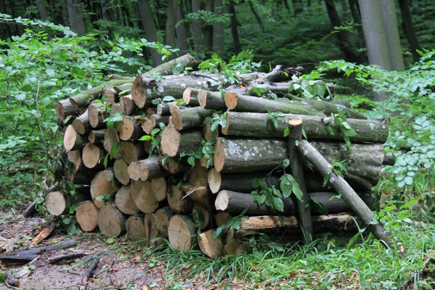 12 каруци, 4 моторни триона и близо 20 кубически метра дърва за огрев задържаха за седмица горските от СИДП